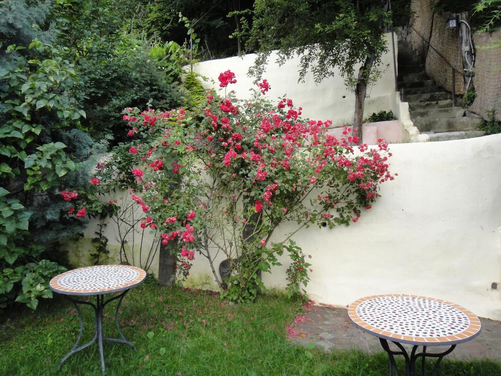 Dominic Boutique Apartment Sighisoara Room photo
